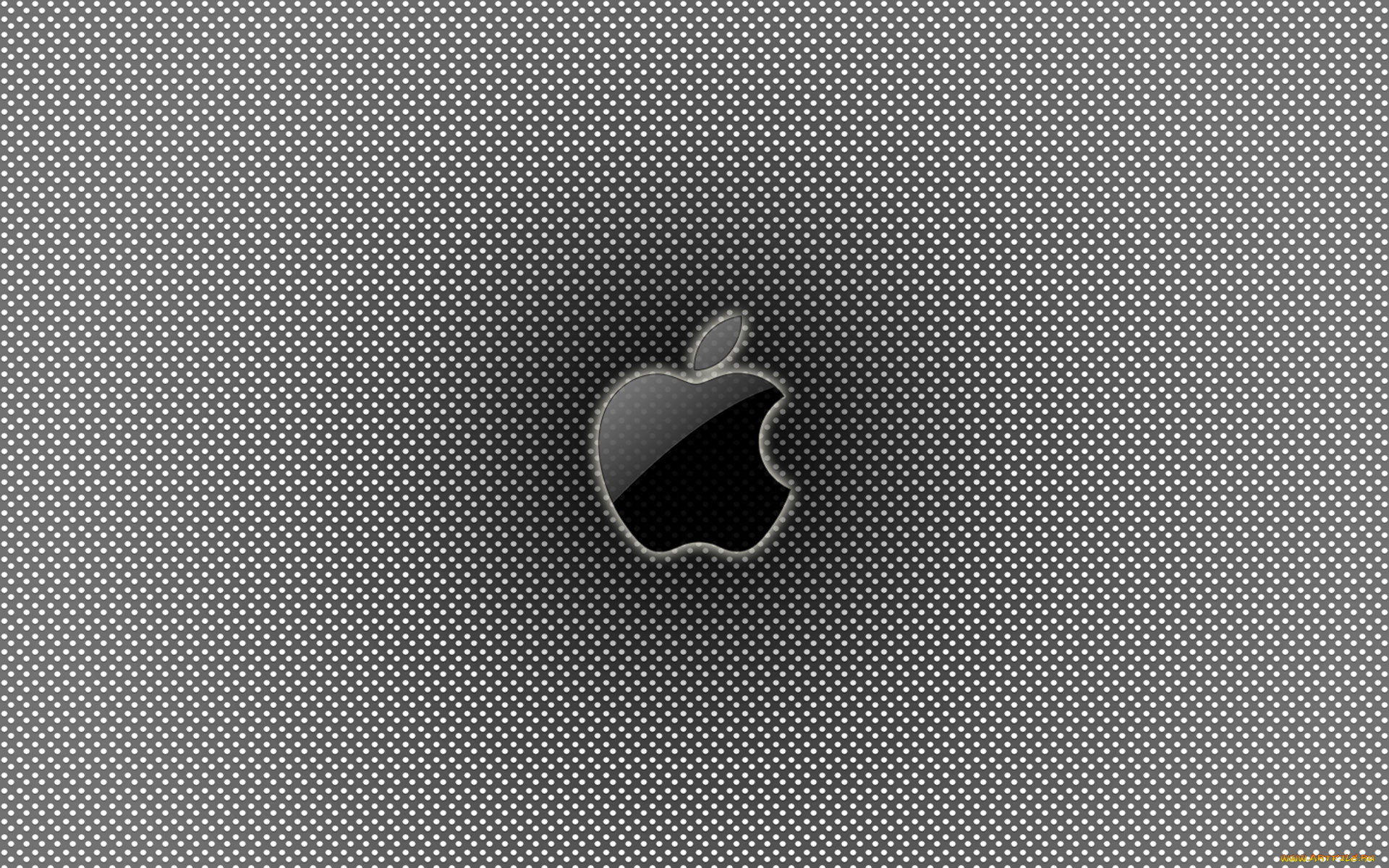 , apple, , 